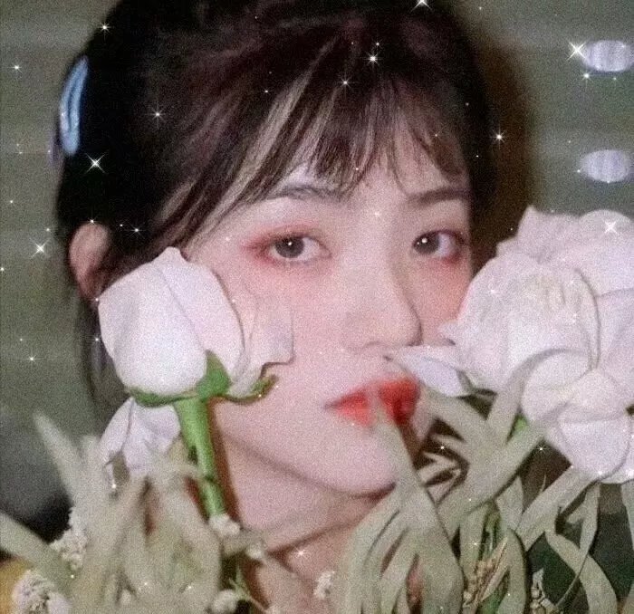 老笨