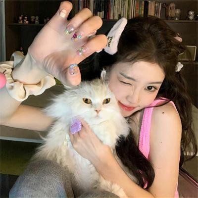 铁金刚勇破黄金党